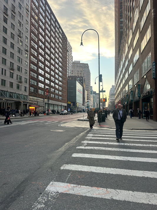 a view near my hotet, nyc francisca rendic in New York. FR Art jewellery